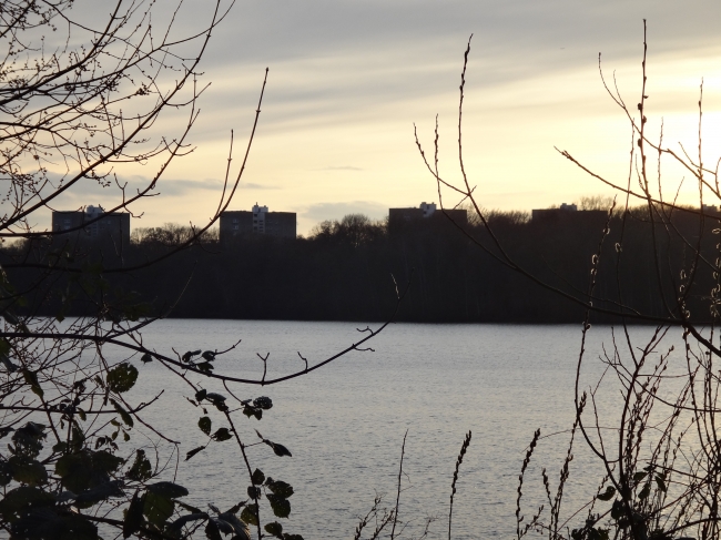 Hochhäuser hinter dem See, 