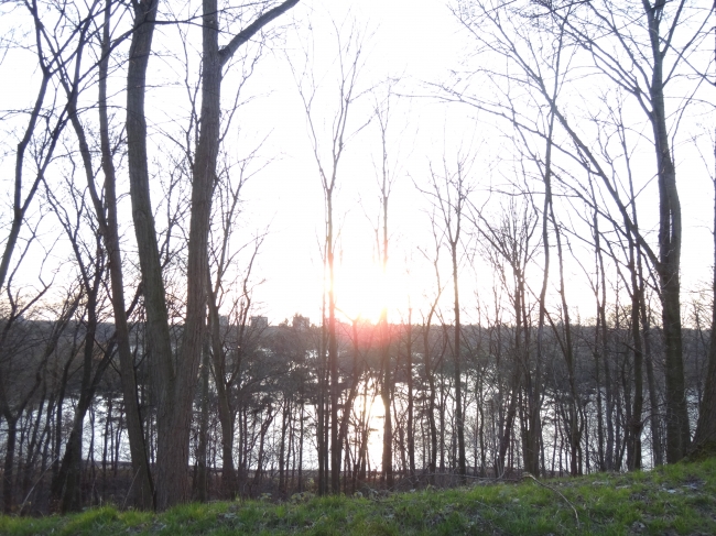 Weg zum Aussichtsturm: Blick zum See, 