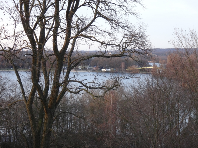 Blick Richtung Gelbe Brücke, Aussichtsturm am Wolfssee