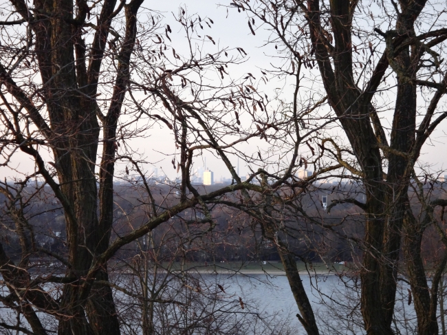 Blick Richtung DU Mitte, Aussichtsturm am Wolfssee