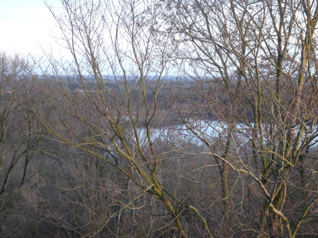 Blick Richtung Düsseldorf, Aussichtsturm am Wolfssee