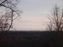 Blick zum Flughafen Dü...