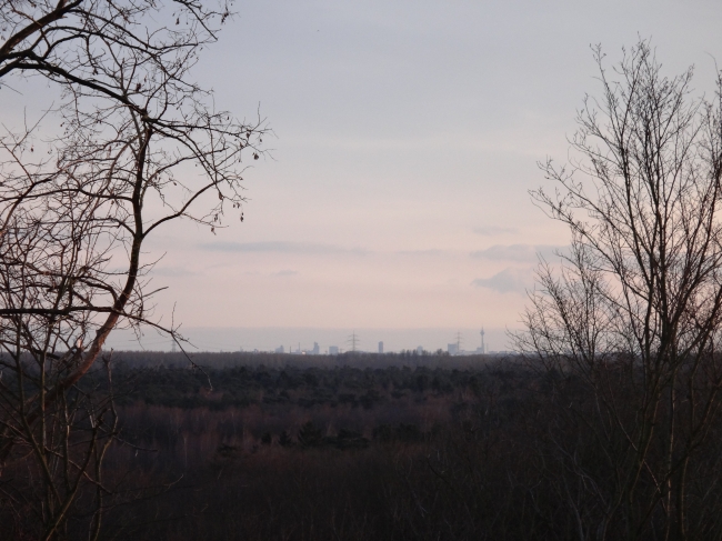 Blick zum Flughafen Düsseldorf, Aussichtsturm am Wolfssee