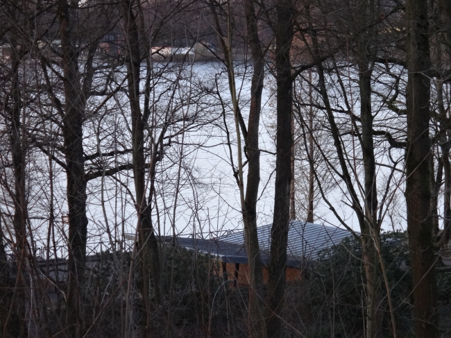 Picknickanlage am See, vom Turm aus