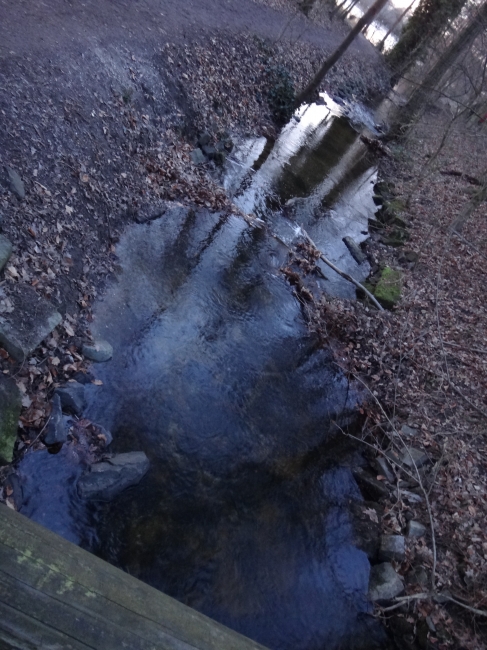 Ein Backlauf, von einer kleinen Brücke