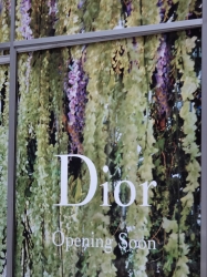 Dior opening soon on K...