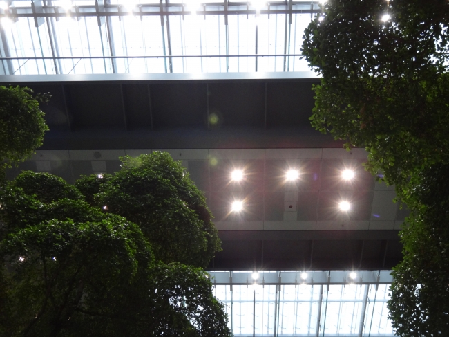 Sparkasse HQ Atrium Düsseldorf, 