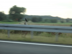 Brdn on Autobahn pillar