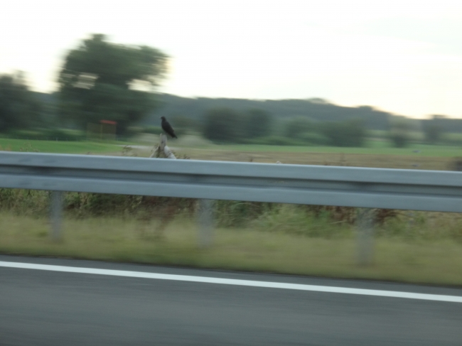 Brdn on Autobahn pillar, 