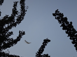 Junkers Ju52 over Düss...