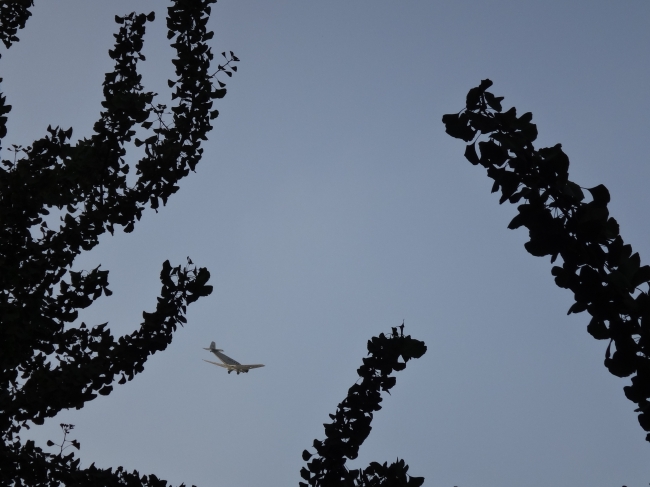 Junkers Ju52 over Düsseldorf, 