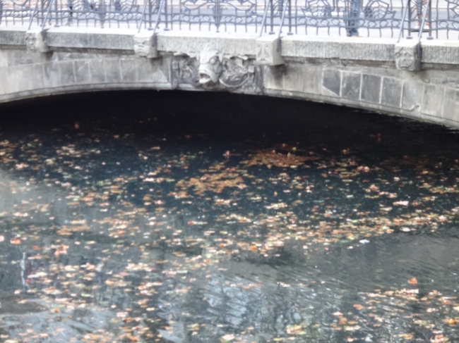 Bidge centre and leafs on water, 