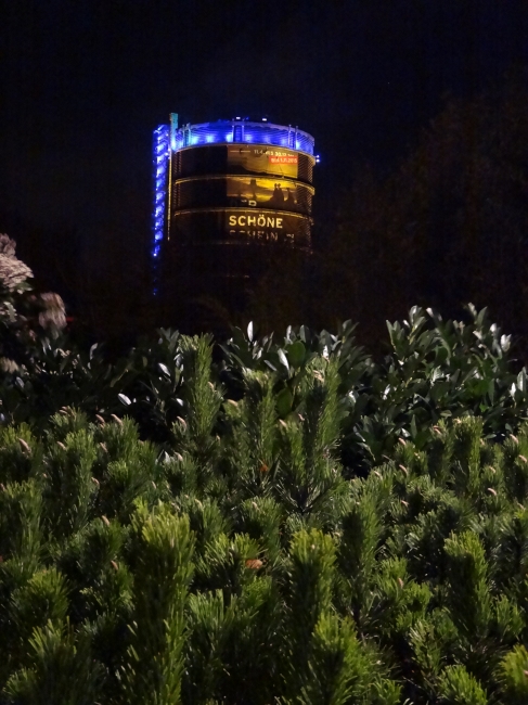 Gasometer with foreground plants, 