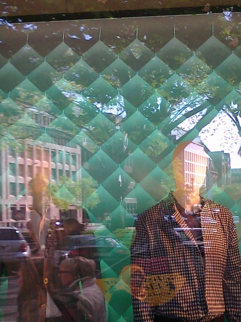 Fish Scales Shopping Window Backdrop, 