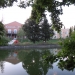 photo: 