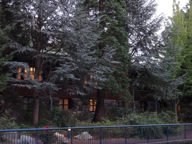 The lodge seen from the river, walkway to Lake Buena Vista, 