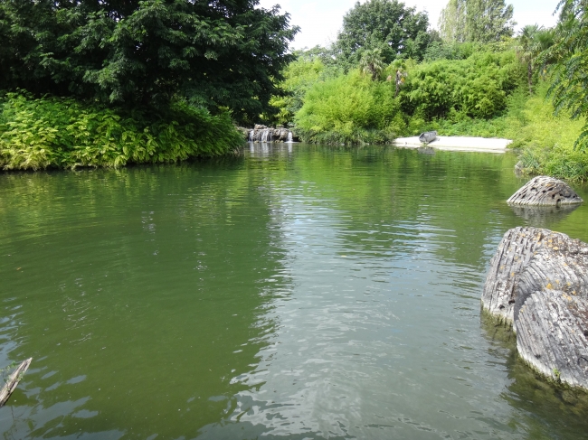 Skull island lake area, far behind the wobbly bridge and the shipwrek