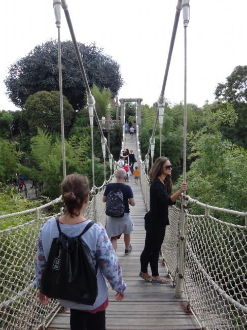 Adventure Isle's suspension bridge, looking south towards Le Ventre de la Terre