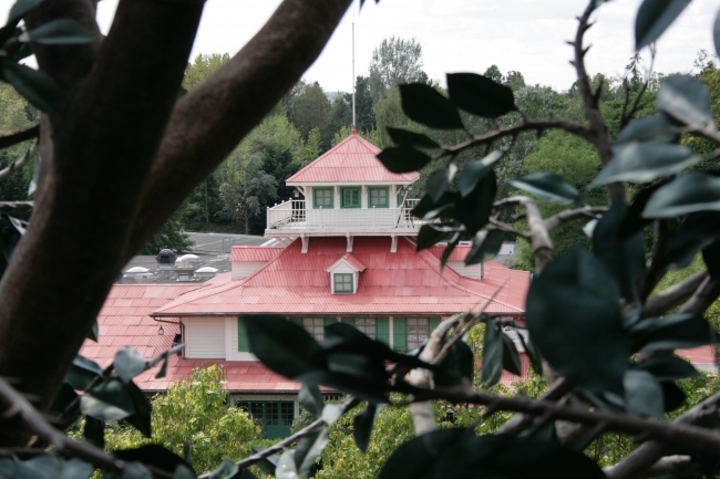 Col. hathi's Pizza Outpost roof detail, 