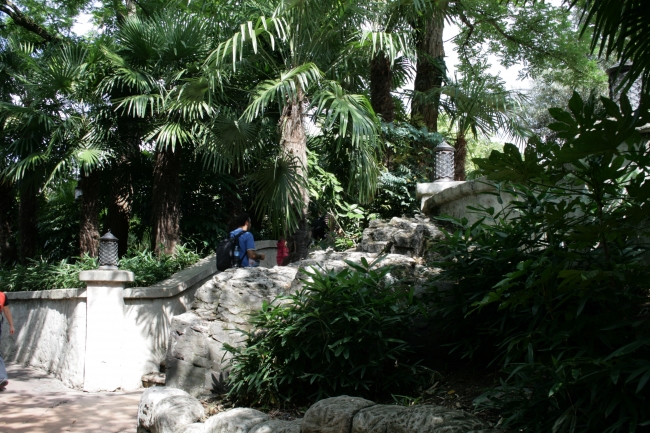 Beautiful stone work and gardening near the cueing area of the pirates of the caribbean, near the entry to the Blue Lagoon restaurant