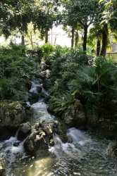 The pond / waterfall a...