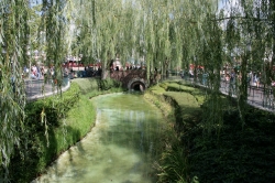 The lake and willows i...