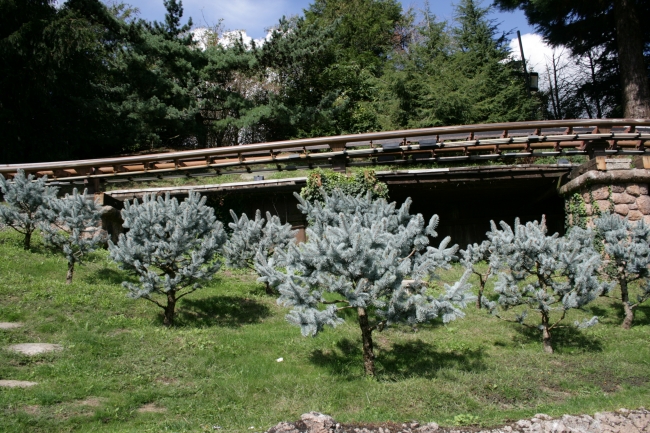 Le Pays des Contes de Fées, gardening and tracks from Casey Jr. kids coaster