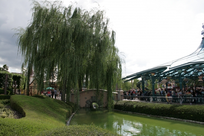 One willow near the Mad Hatter's Tea Cups, and a pond in foreground