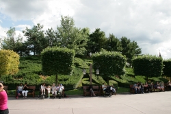 Cubic trees at the edg...