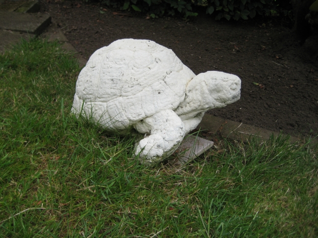 Tartaruga, (die Schildkröte!)