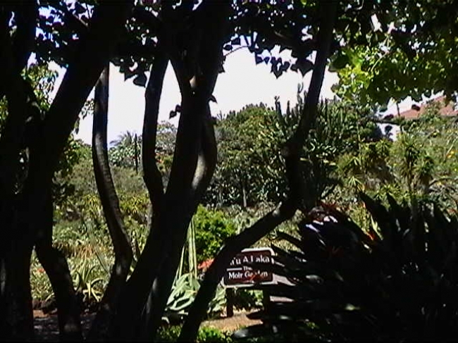 Su A Laka Moir Gardens, Kauai, 